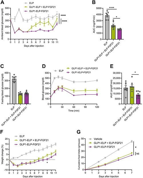 GLP1-ELP-FGF21双激动剂形式在治疗上优于GLP-1 / FGF21单激动剂混淆物 旋乐吧spin8