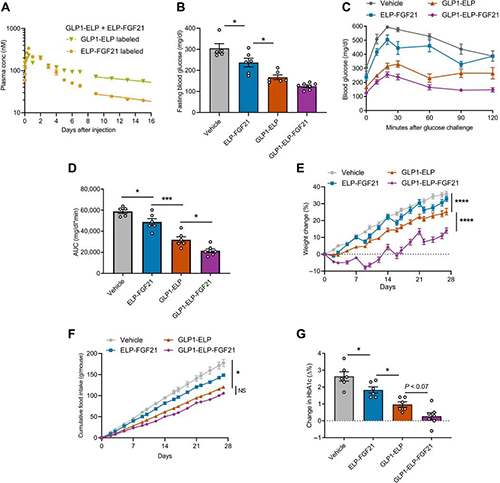 GLP1-ELP-FGF21双激动剂融合卵白对血糖和体重具有有用且一连的作用 旋乐吧spin8