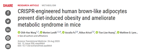 Science|聚焦CRISPR：刷新脂肪细胞，，，，，“躺瘦”可能要成真了？？？？？？