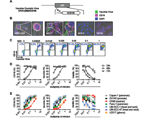 旋乐吧spin8(中国区)手机版官方网站