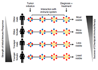 事实为什么ICB疗法在年轻女性肿瘤患者体内收效甚微？？？？？？？