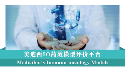 旋乐吧spin8IO药效模子评价平台