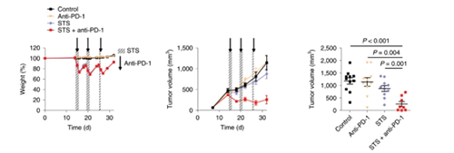 与比照组及仅使用PD-1疗法的模子小鼠比照，，，，，，，接纳短期饥饿配合PD-1疗法的393P细胞同源移植肿瘤小鼠体内的肿瘤体积有了显着的缩短。。。。