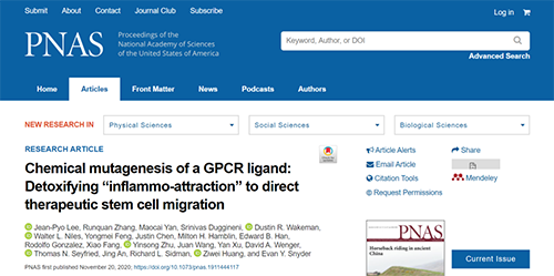 天下首创：药物将干细胞指导至受损部位，，，提高其愈合能力！