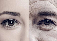 一种能够延伸寿命的降压药，，，，，，，，你听说过吗？？？？？？