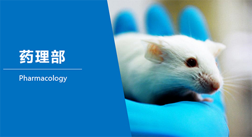 旋乐吧spin8临床前研究-药理部
