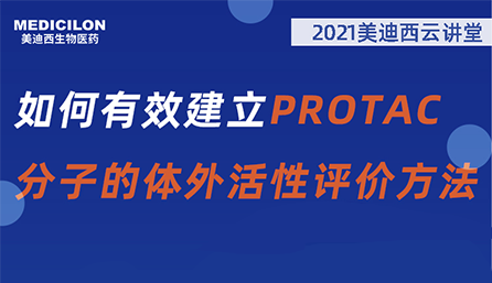 【云课堂】：怎样有用建设PROTAC分子的体外活性评价要领？？？