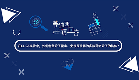 在ELISA实验，，，怎样制备分子量小、免疫原性弱的多肽药物分子的抗体？？？？？