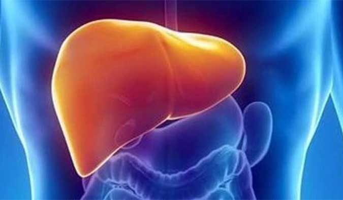 【旋乐吧spin8助力】NASH领域新希望！海普丁HPD001即将在美启动临床试验