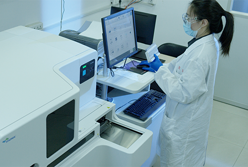 旋乐吧spin8一体化DMPK效劳为药物研发保驾护航