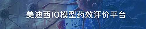 旋乐吧spin8IO模子药效评价平台.jpg