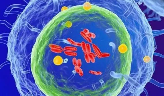  旋乐吧spin8助力 | 信诺维抗肿瘤1类新药XNW14010获批临床.png