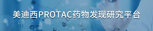 旋乐吧spin8PROTAC药物发明研究平台.png