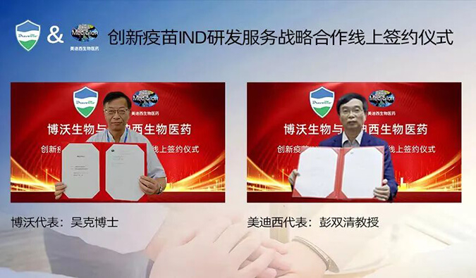旋乐吧spin8与博沃生物告竣立异疫苗IND研发效劳战略相助