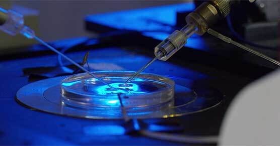 Cardiac-Electrophysiology-（心脏电心理）