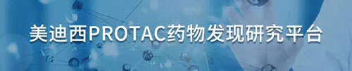 旋乐吧spin8protac药物发明研究平台.jpg