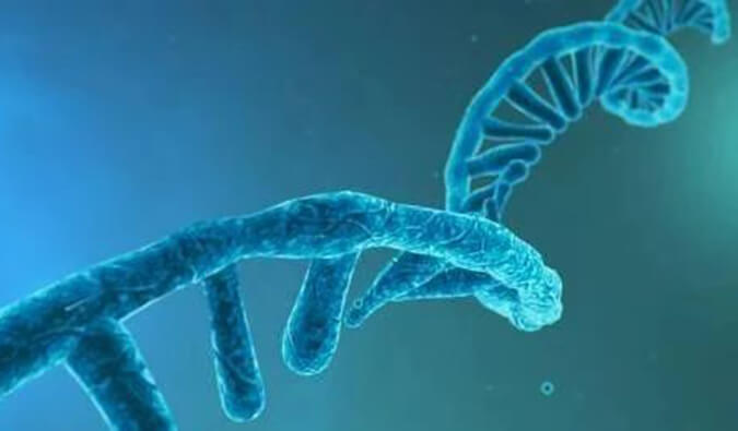 美研丨寡核苷酸药物市场远景、生长挑战及应对战略