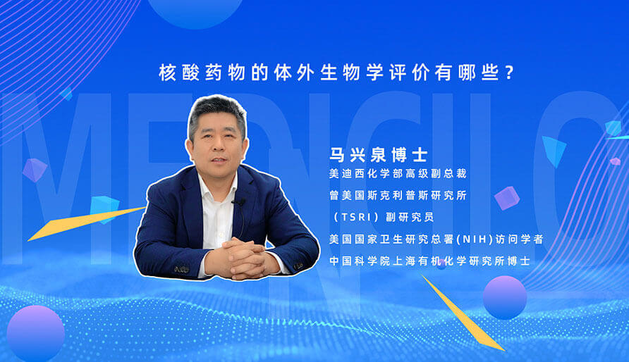 核酸药物的体外生物学评价有哪些？？？？？