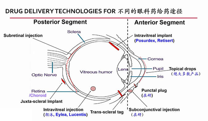 【内附回放+下半场预约】旋乐吧spin8眼科药物专题钻研会上半场精彩回首