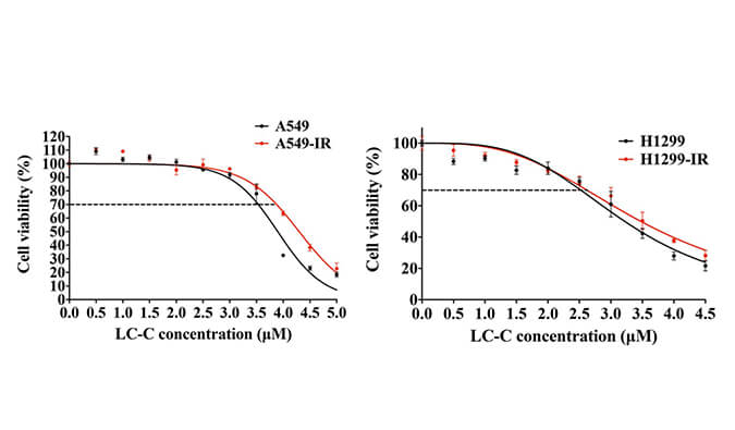 放射疗法用作肺癌的主要治疗要领，，，，，，，，在次研究中建设抗电离辐射肺癌细胞系的放射治疗通过旋乐吧spin8举行