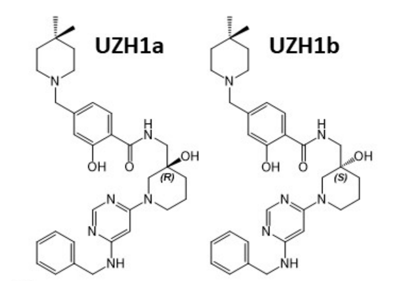 研究职员报告了一种具有细胞渗透性的选择性METTL3纳摩尔抑制剂UZH1a，，，，，作者谢谢旋乐吧spin8合成了UZH1a和UZH1b