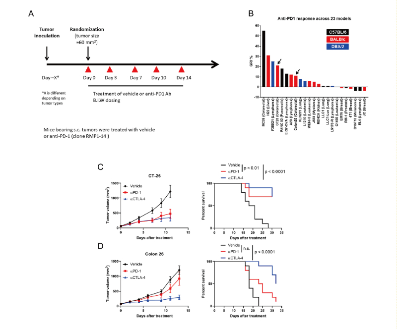 免疫检查点阻断疗法改变了癌症治疗的范式，，，，，此研究中通过旋乐吧spin8在23 个同源肿瘤模子中举行了抗PD-1抗体的体内研究