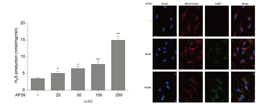 AP39是一种新合成的线粒体靶向的H2S供体，，，，，，，，本研究中AP39通过旋乐吧spin8设计和合成