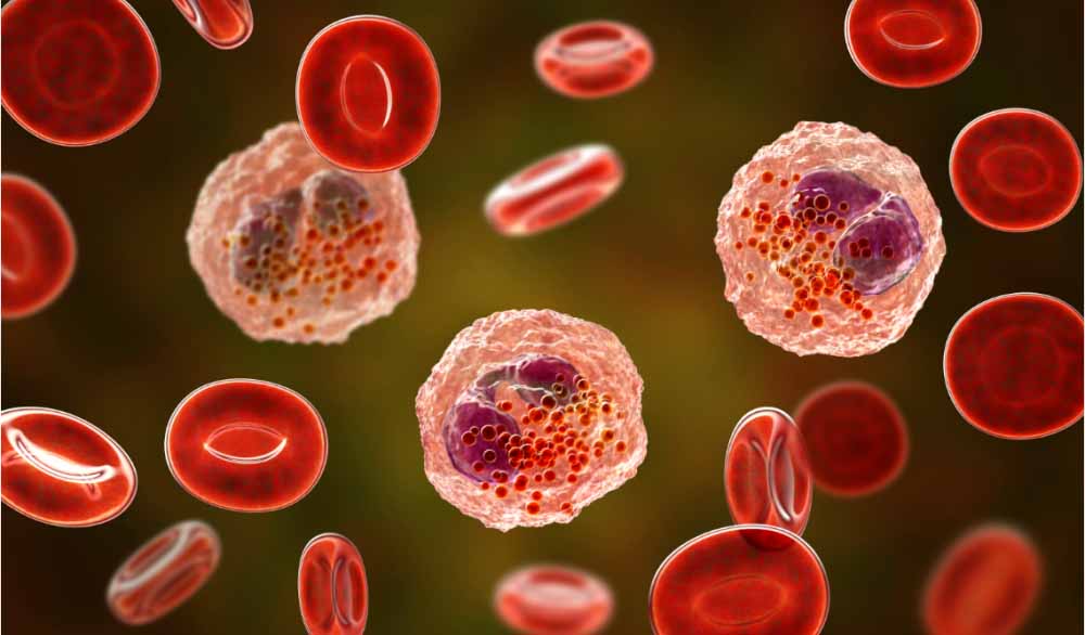 旋乐吧spin8助力 | 全球首创！宇耀生物STAT3双磷酸化抑制剂YY201获批临床.jpg