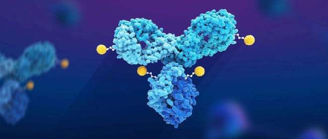 天下肿瘤日聚焦：AACR年会引领全球肿瘤新药趋势，，，国产药引领风潮