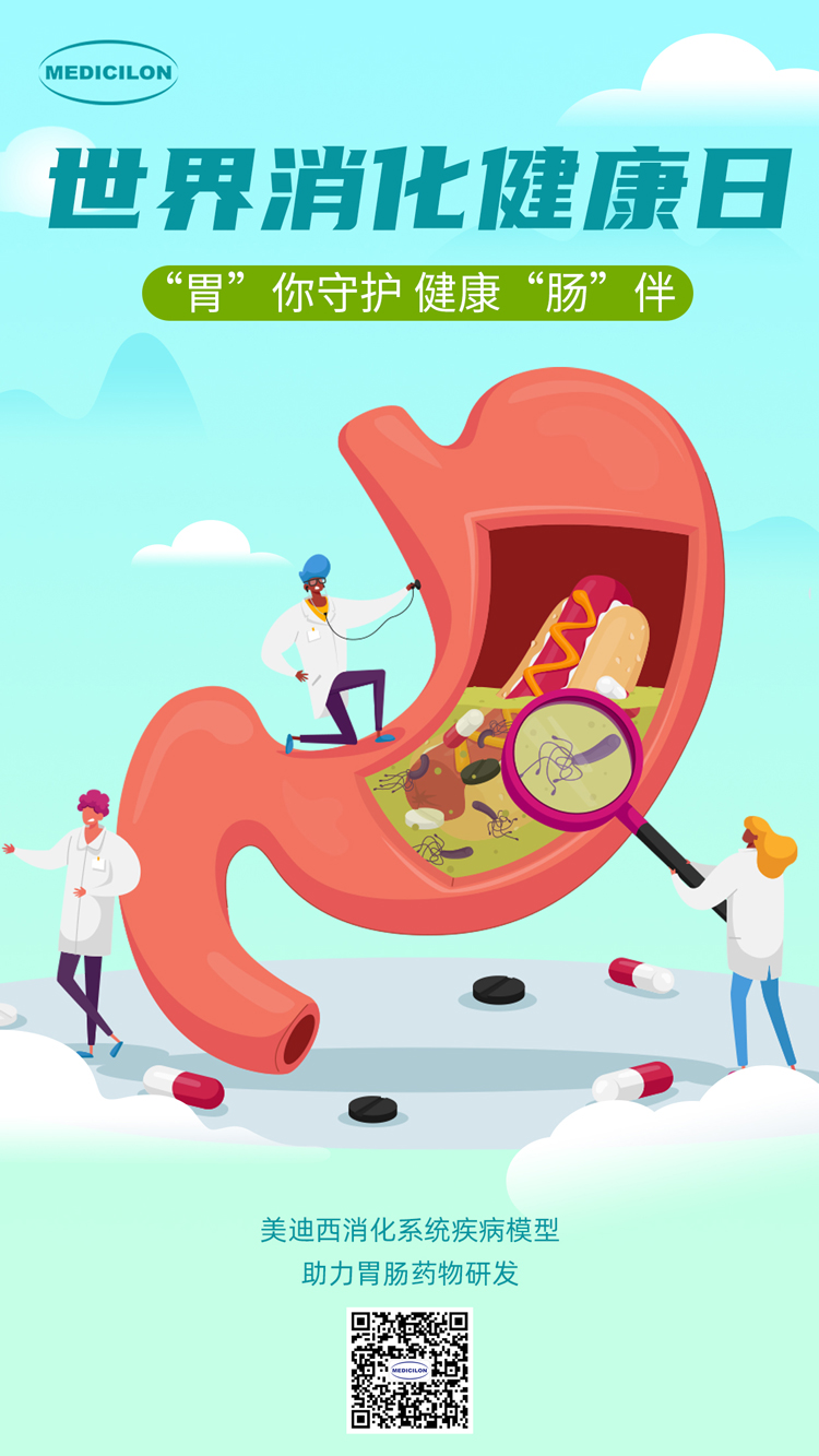 旋乐吧spin8消化系统疾病模子助力胃肠药物研发.jpg