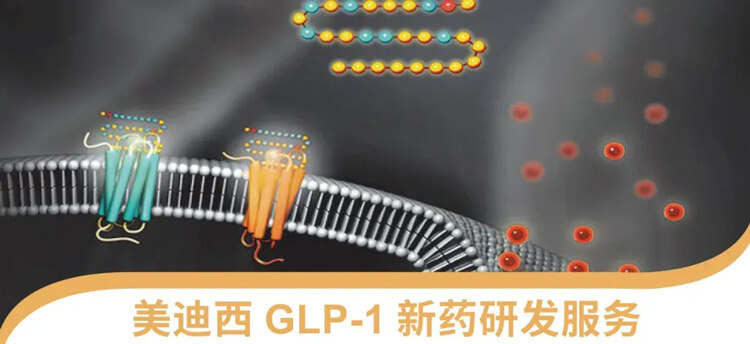 旋乐吧spin8GLP-1新药研发效劳平台.jpg