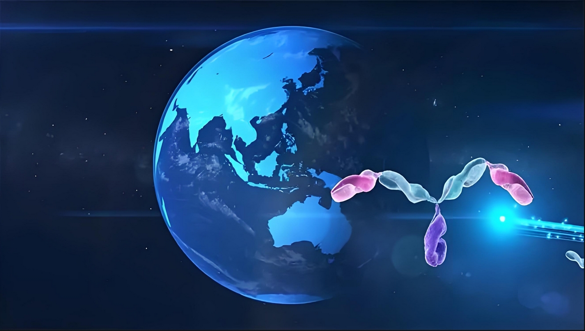 价值屡履历证！旋乐吧spin8祝贺相助同伴岸迈生物BCMA×CD3双抗EMB-06授权出海