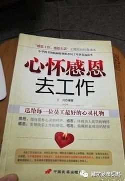 九游会·J9 (中国)官方网站 | 真人游戏第一品牌