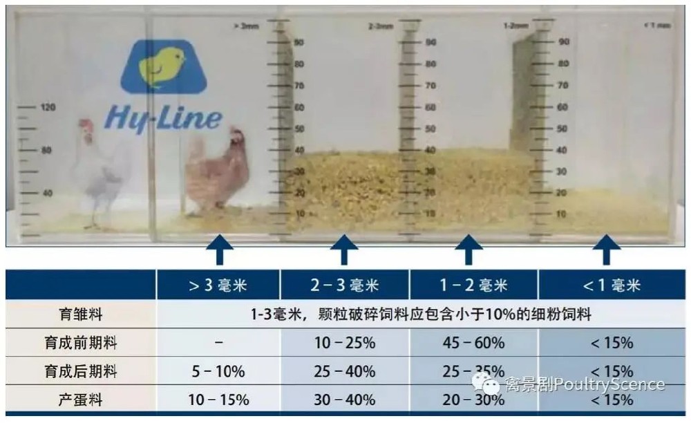 九游会·J9 (中国)官方网站 | 真人游戏第一品牌